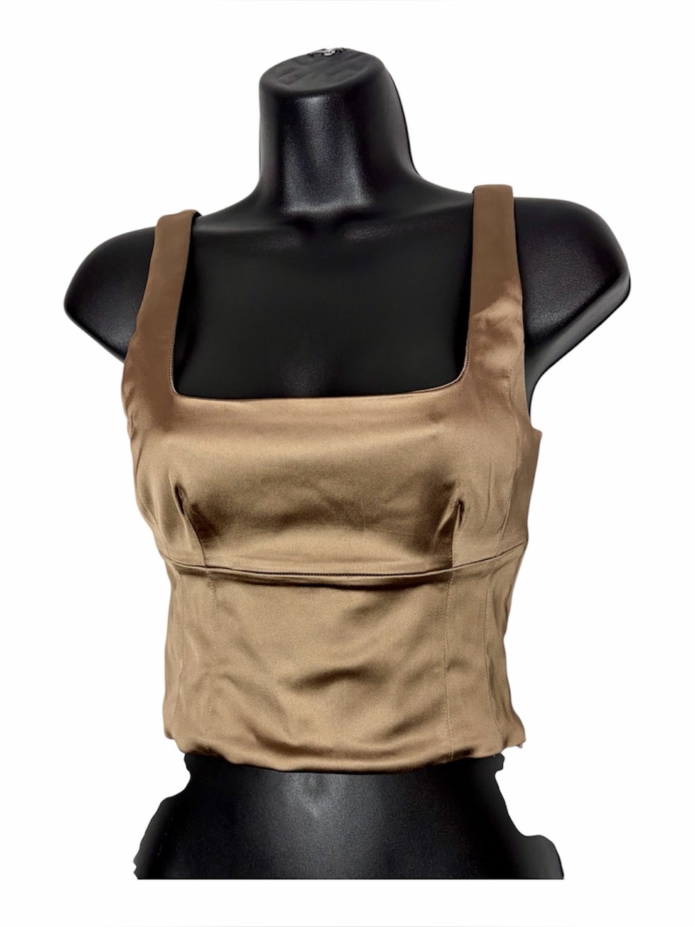 Aritzia Wilfred Bronze Shine Bustier Cropped Satin Like Top ($88) - Picture 5 of 13